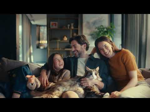 Сухой корм PRO PLAN LiveClear Sterilised для уменьшения аллергенов, для стерилизованных кошек, индейка 1,4 кг (7613287232564) - фото 1 - id-p1805694310