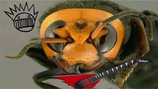 Ween - Bumblebee (Unofficial Music Video)