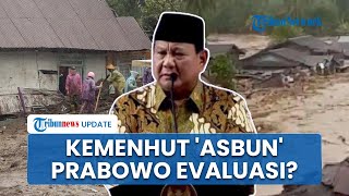 Kemenhut Dikritik Dituding Asbun Kayu Gelondongan Bukan Hasil Penebangan, Prabowo Didesak Evaluasi