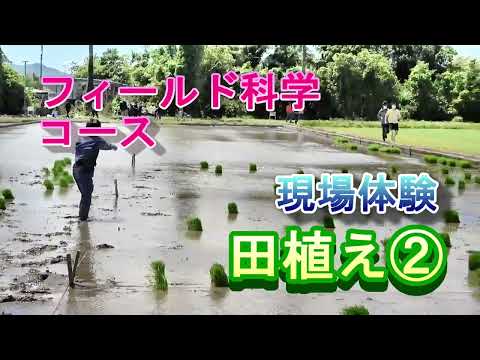 【フィールド科学コース】現場体験（田植え②）