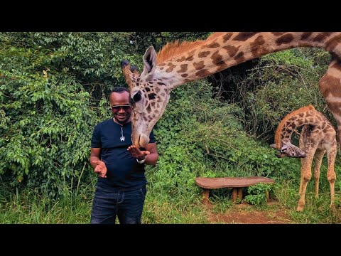 AFRICA (Official Video) - MIGGY CHAMP 