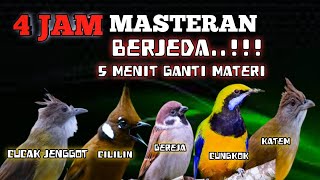 Download lagu 4 jam masteran TROTOLAN berjedah 5 menit ganti materi burung tidak stress dan materi cepat masuk mp3