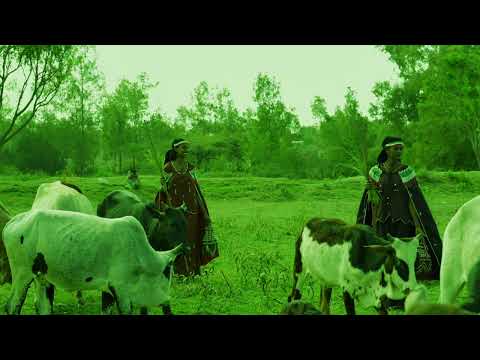 New Ethiopian Oromo Music OROMIYAAN BIYYA KEENYA