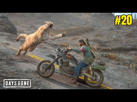 Fighting Zombie Tigers - Days Gone Gameplay #20