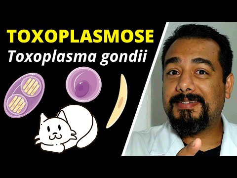 , title : 'Toxoplasmose (Toxoplasma gondii) | Curso de Parasitologia | Ciclo, Sintomas, Diagnóstico'