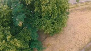 First Fpv Freestyle with Gopro session