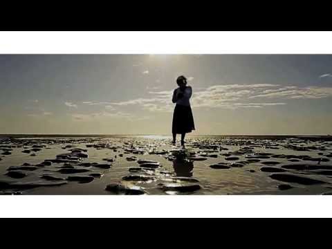 T - FIGHTER - SIJUTII