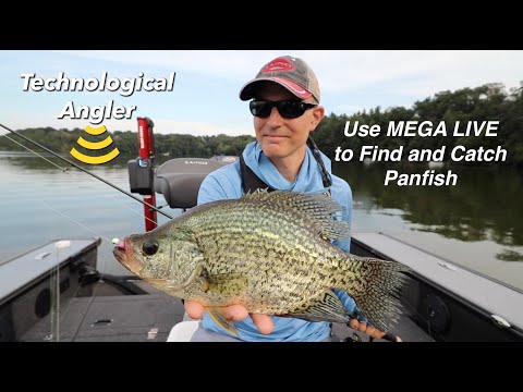Tips for Using Humminbird MEGA Live to Chase Panfish | The Technological Angler