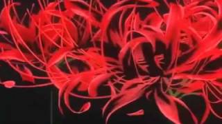 Download lagu WITH YOU - AAA. mp3 Download lagu WITH YOU - AAA. mp3