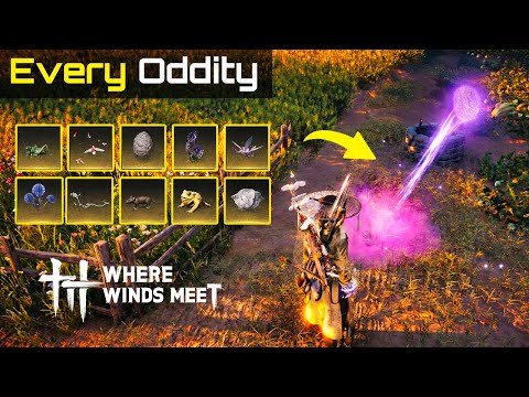 All Oddities - How to Find & What To Do | Where Winds Meet Tips & Guides