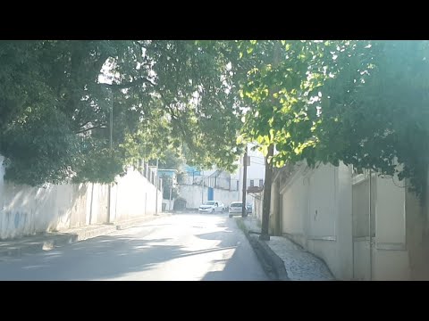 caut baiat din šid femei campulung muscel