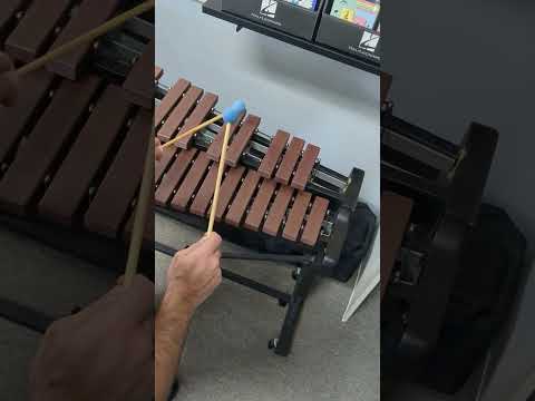 Logic defying xylophone #mallets #xylophone #fail #fails #malletpercussion #wtf #bandgeeks #bandkid