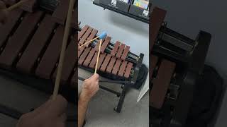 Download lagu Logic defying xylophone #mallets #xylophone #fail #fails #malletpercussion #wtf #bandgeeks #bandkid mp3 Download lagu Logic defying xylophone #mallets #xylophone #fail #fails #malletpercussion #wtf #bandgeeks #bandkid mp3