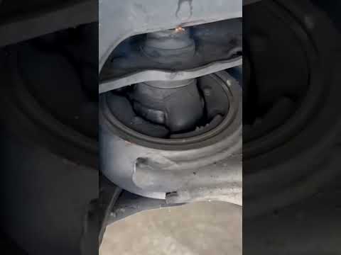 Honda Squeaking Noise