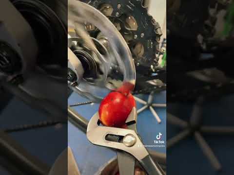 Disc Brake vs Apple #shorts