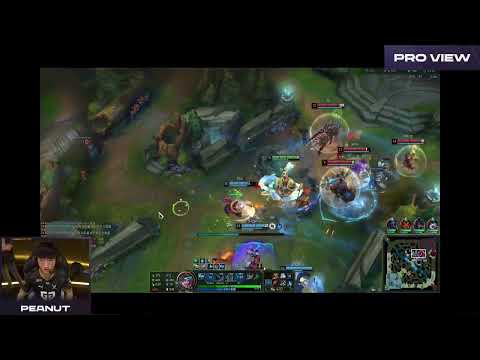 Peanut Pro View | T1 vs GENG | 2023 LCK Summer Playoffs Round 3