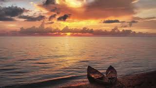 미국의 가수이자 배우인  Vonda Shepard 의  Alone Again Naturally [ 아름다운 노래]