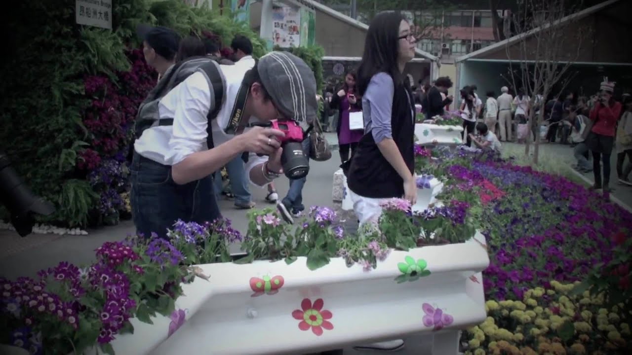 Объектив Nikon 105mm f/2.8G IF-ED AF-S VR Micro-Nikkor