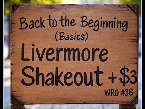 WRO #38 Shakeout Plus $3, a Back to the Beginning (Basics) Series