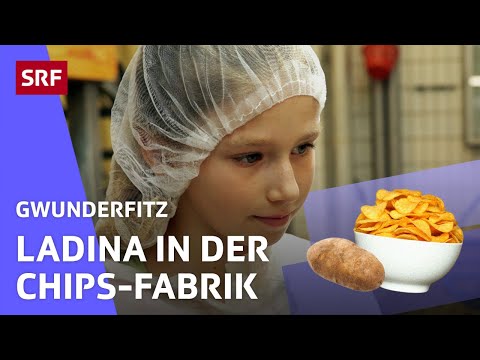Wie werden Kartoffelchips gemacht? | Gwunderfitz | SRF Kids – Kindervideos