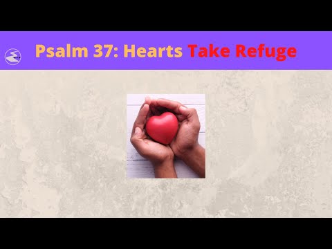 Psalm 37: Let Your Heart Take Refuge