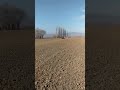 Hattat 240s Sogan Yeri Hazırlama