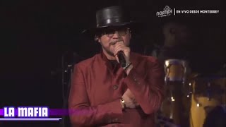 La Mafia En Vivo Nortex