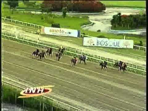 Resumen Domingo, 01 de Diciembre de 2013 - La Rinconada