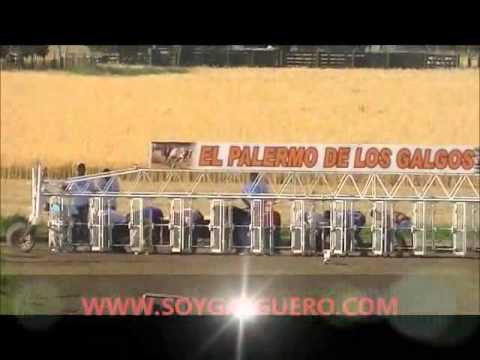 PLUMAS VERDES Semi 2 Camp Nac e Int 2015 . WWW.SOYGALGUERO.COM