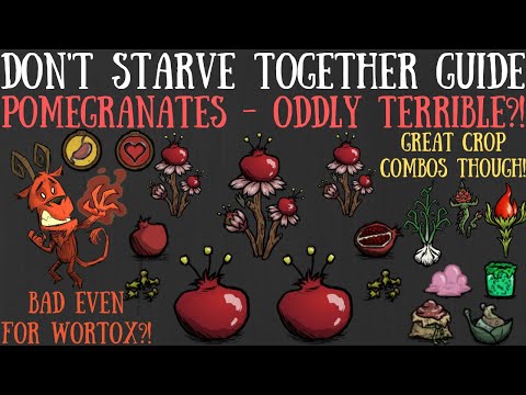 Don't Starve Together Guide: Pomegranates - Worst Crops Ever?! - Giants, Nutrients & More