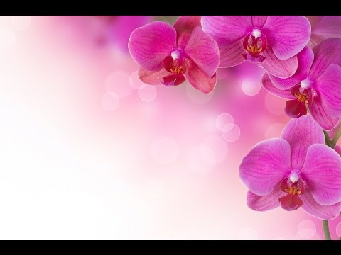 2 HOURS of Peaceful & Relaxing Music|Keiko Matsui - Bonfire in the Piano