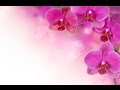 2 HOURS of Peaceful & Relaxing Music|Keiko Matsui - Bonfire in the Piano
