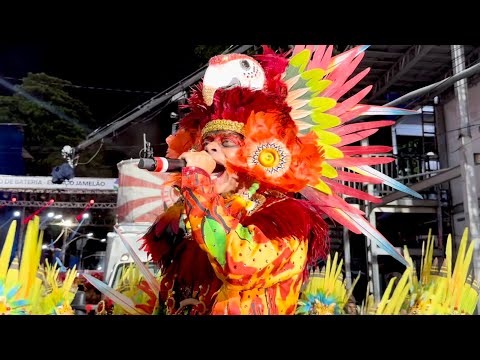 SALGUEIRO 2024 | DESFILE OFICIAL - LARGADA!