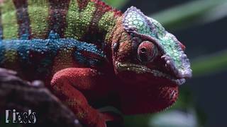 Above &amp; Beyond Pres. OceanLab - &quot;Miracle [Radio mix] -- // Visual Video HD-HQ \\--  [[GetAFix]]