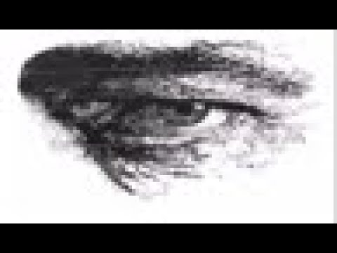 HIGHER INTELLIGENTSIA MEETS SANDRO MIRENO & KATE LESING