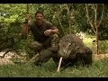 Largest Lizard on Earth | The Komodo Dragon | Deadly 60 | Indonesia | Series 3 | BBC