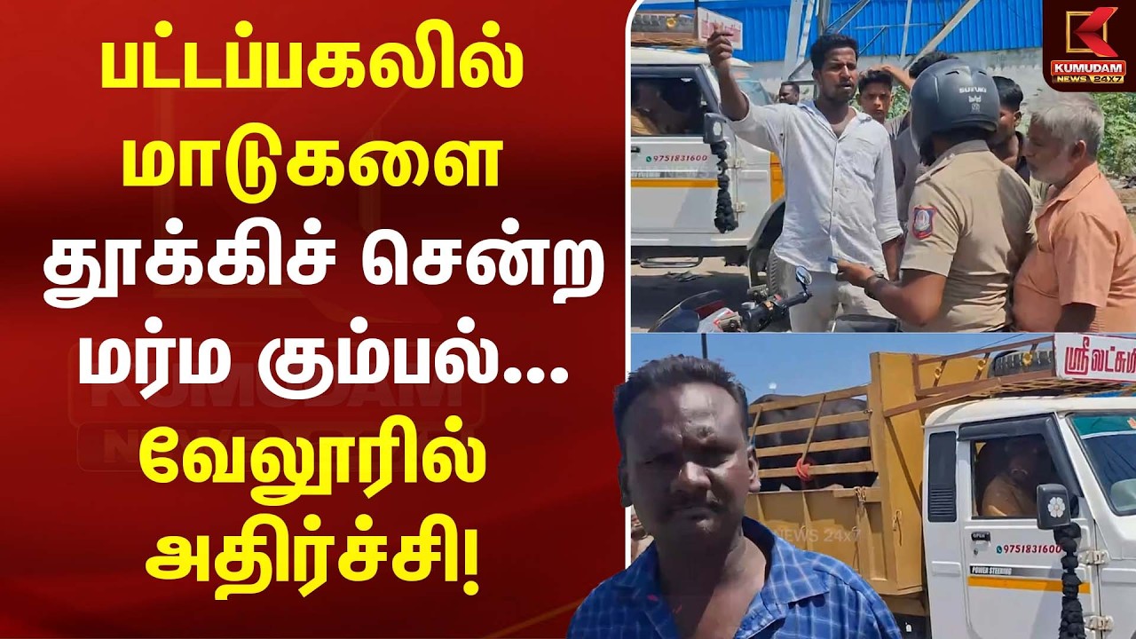 பட்டப்பகலில் மாடுகளை தூக்கிச் சென்ற மர்ம கும்பல்... வேலூரில் அதிர்ச்சி! | Kumudam News