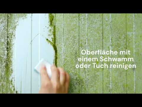 Reinigen einer vermoosten Fasade mit Biosativa