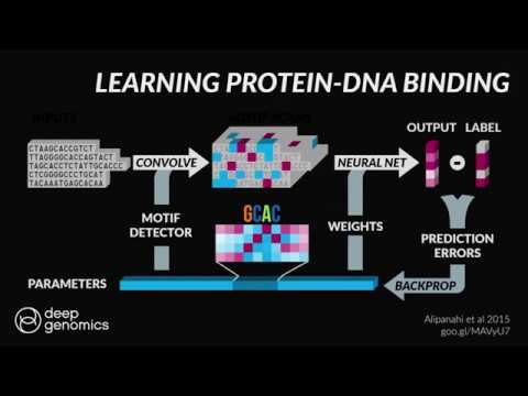 Brendan Frey: Why AI Will Make it Possible to Reprogram the Human Genome (NIPS 2017 keynote)