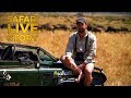 So You Want To Be A Safari Guide
