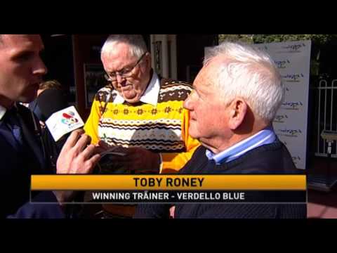 Belmont Park, 30/07/2016 - Race 4 - Verdello Blue - Toby Roney & Randy Tan