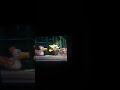 Sesame Street Episode 2568 Ending