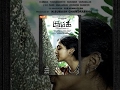Kumki