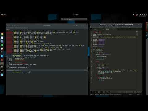 PICO CTF 2018 - can-you-gets-me (rop)