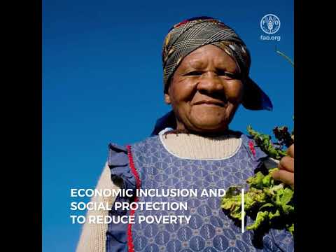 Economic Inclusion and Social Protection to Reduce Poverty