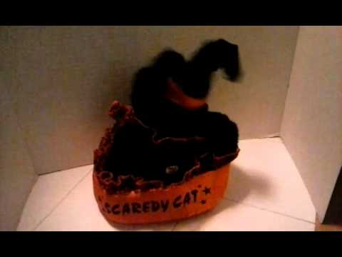 Dandee Scaredy Cat Head-Spinning Meowing Black Witch Kitten 10