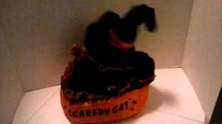 Dandee Scaredy Cat Head-Spinning Meowing Black Witch Kitten 10