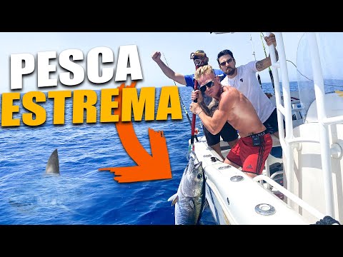 🎣 ABBIAMO PESCATO DELLE BESTIE ASSURDE! | 1° esperienza con la pesca