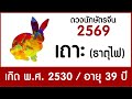 Horoscope For People Born In The Year Of The Rabbit Fire Element Born In 1987 Horoscope2026
