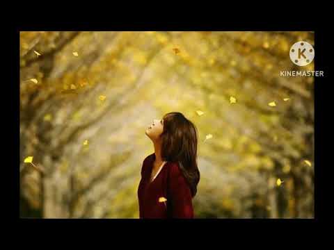 Mưa chiều Thu - Trần Lãm